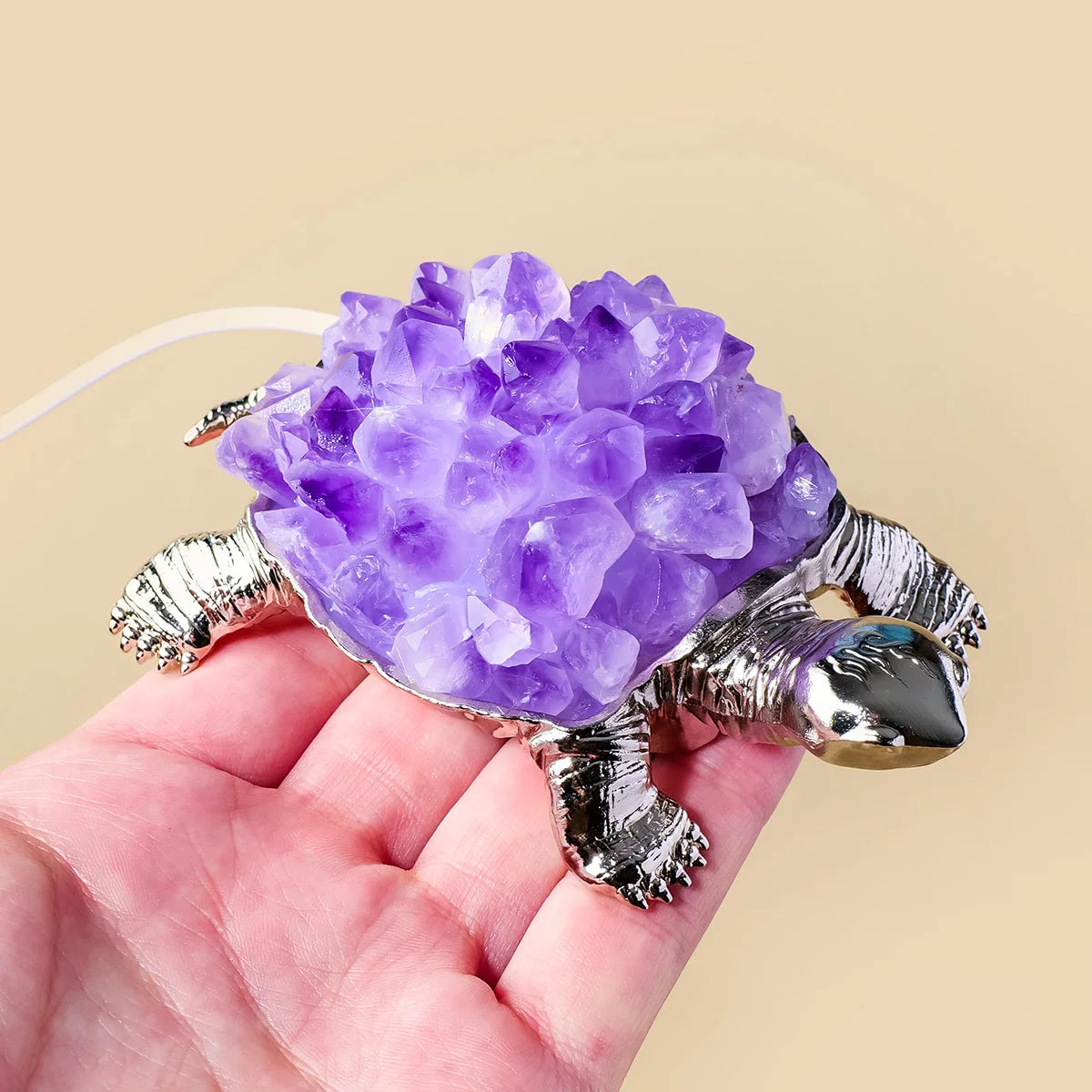 Mixed Crystal Turtle Lights-ToShay.org