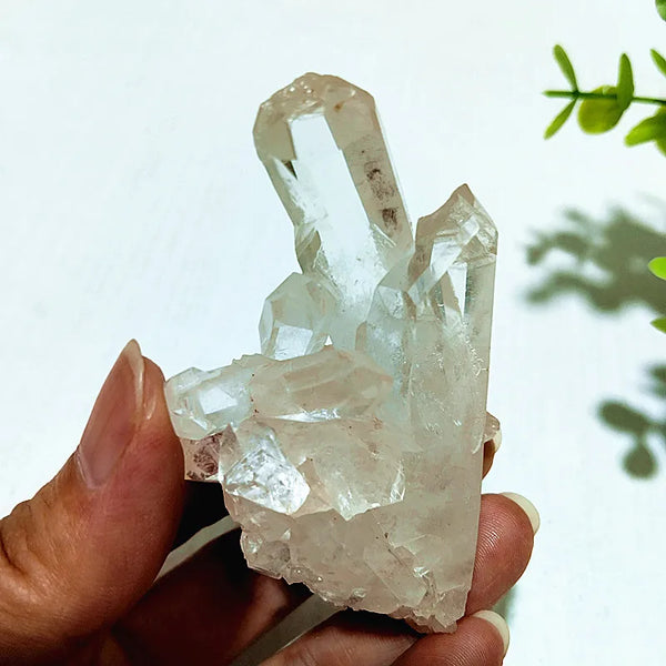 Clear Crystal Cluster-ToShay.org