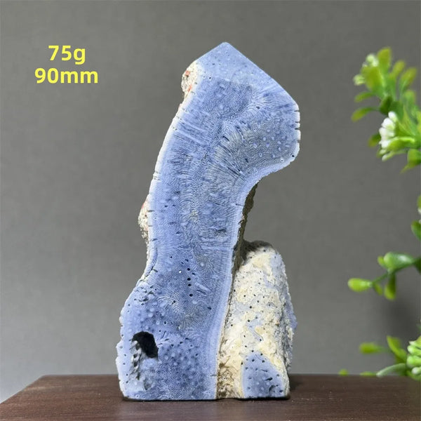 Blue Coral Crystal-ToShay.org