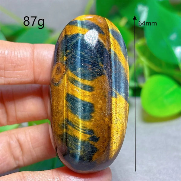Blue Yellow Tiger Eye-ToShay.org
