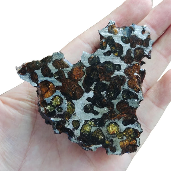 Olive Meteorite Pendant-ToShay.org