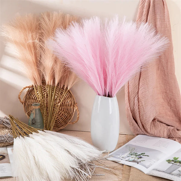 Pampas Grass-ToShay.org
