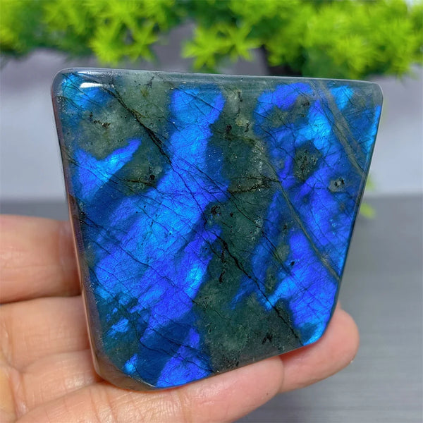 Blue Labradorite Crystal-ToShay.org