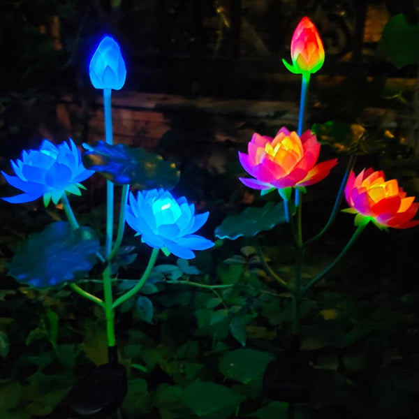 Lotus Flower Lights-ToShay.org