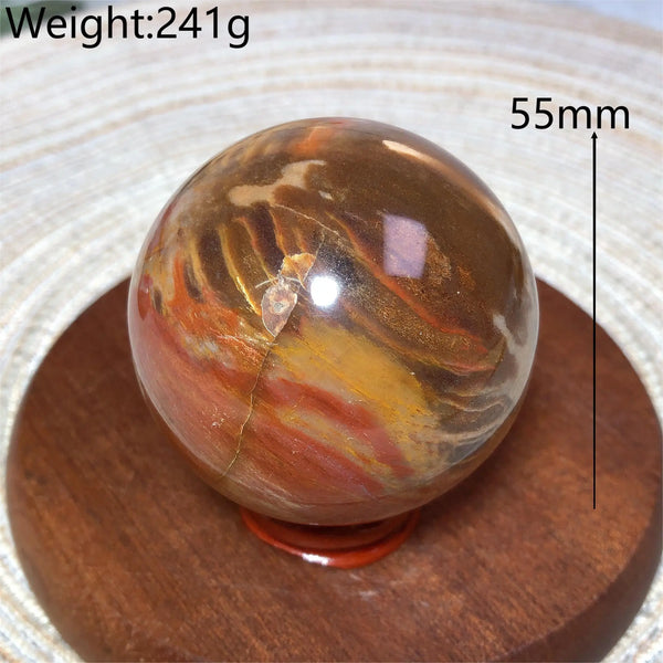 Brown Petrified Wood Ball-ToShay.org