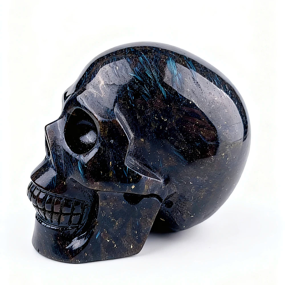 Red Astrophysicite Skull-ToShay.org