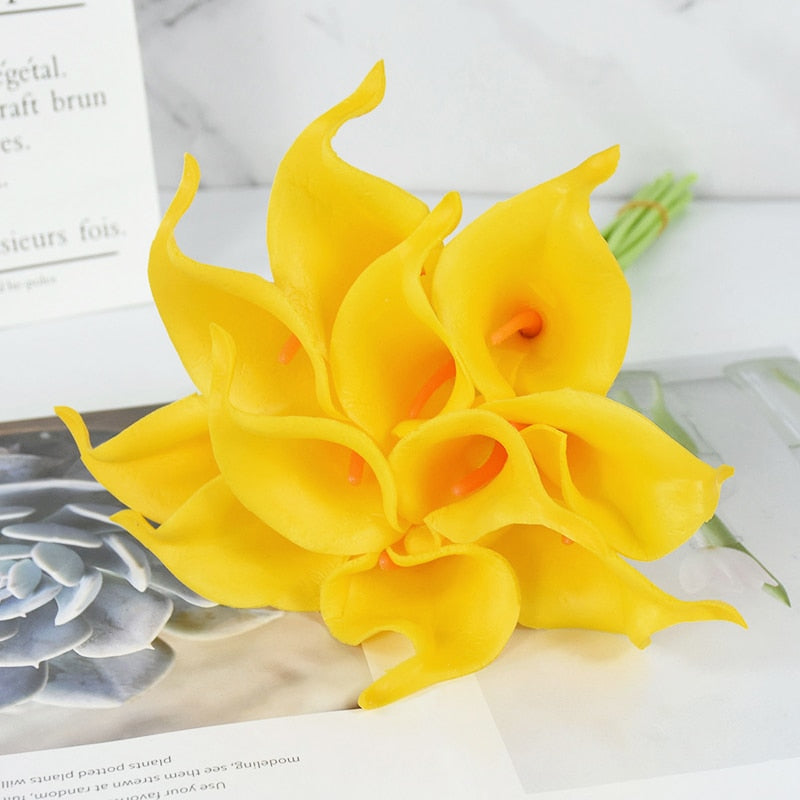 Calla Lily Stem Flower-ToShay.org