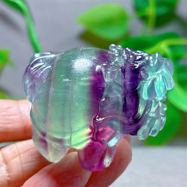 Rainbow Fluorite Dragon Turtle-ToShay.org