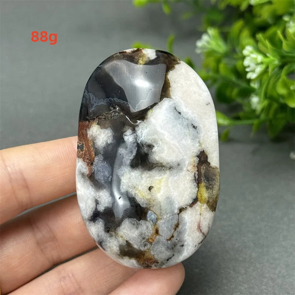 Black Cherry Blossom Agate-ToShay.org