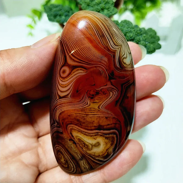 Red Lace Sardonyx Agate-ToShay.org