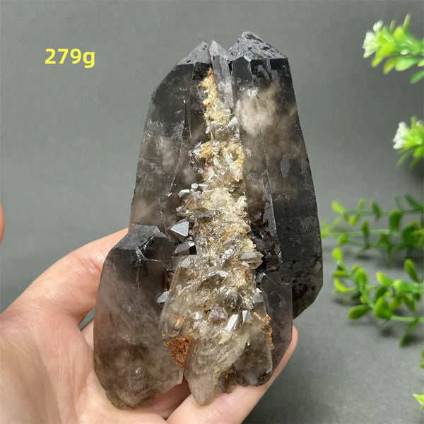 Black Quartz Crystal-ToShay.org