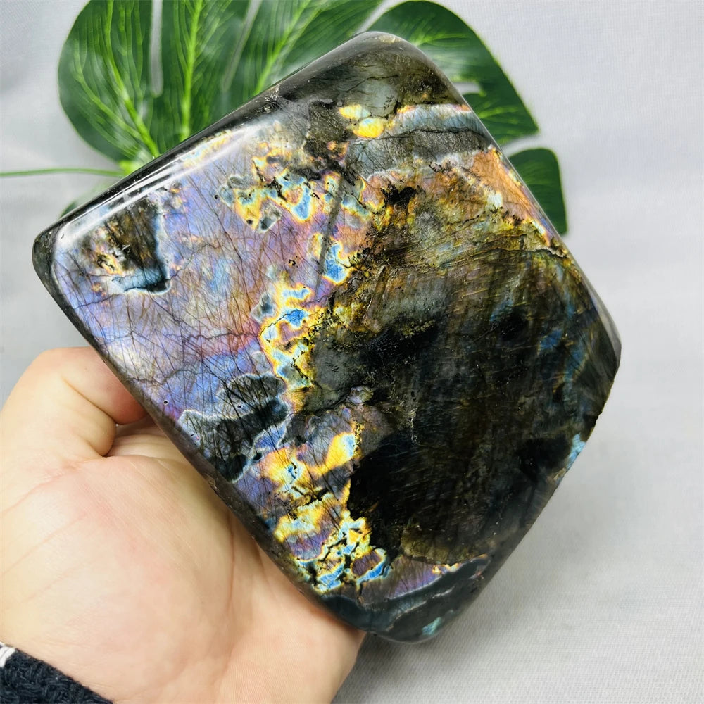 Rainbow Labradorite Cluster-ToShay.org
