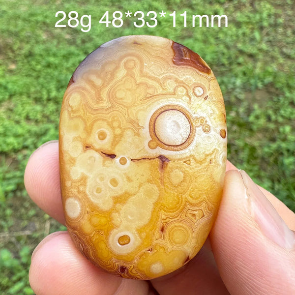 Brown Gobi Eye Agate-ToShay.org