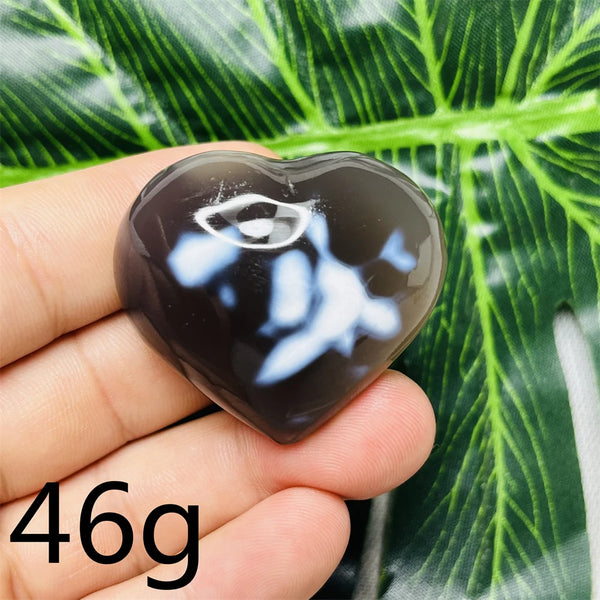 Black White Orca Agate-ToShay.org