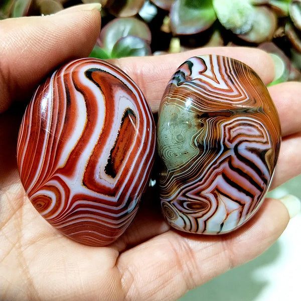 Red Lace Sardonyx Agate-ToShay.org
