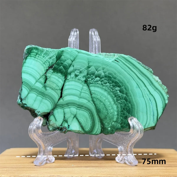 Green Malachite Slice-ToShay.org
