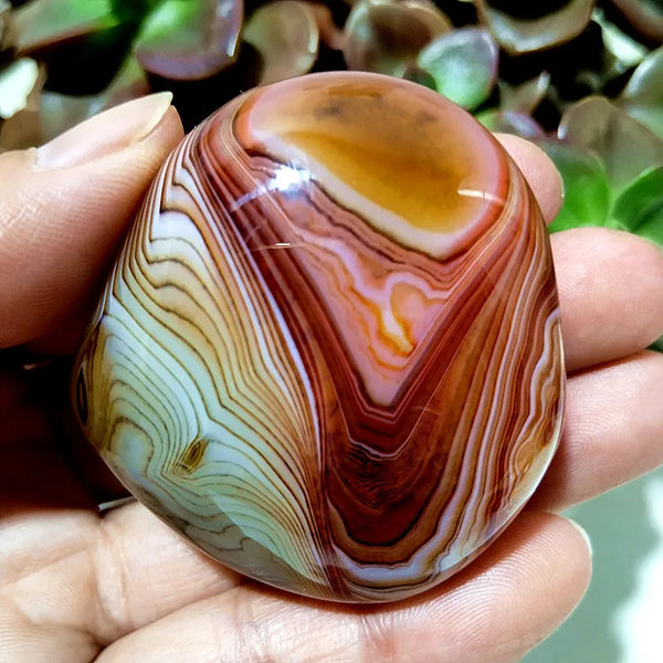 Red Flower Agate Palm Stone-ToShay.org