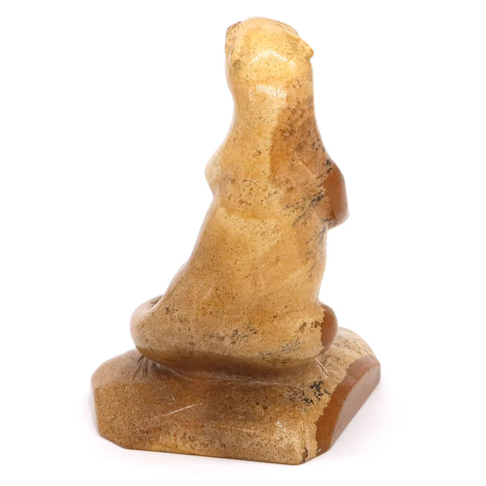 Yellow Picture Jasper Otter-ToShay.org