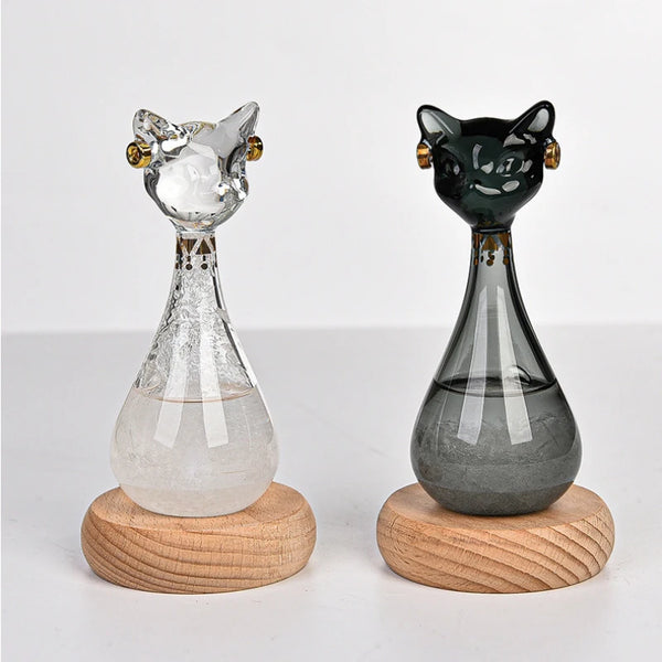 Cat Storm Bottle-ToShay.org