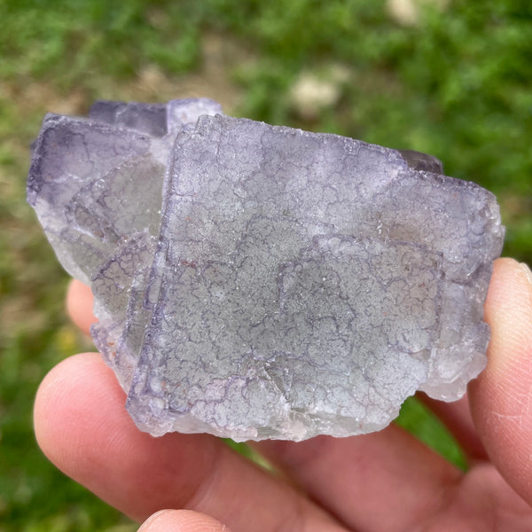 Purple Edge Fluorite-ToShay.org