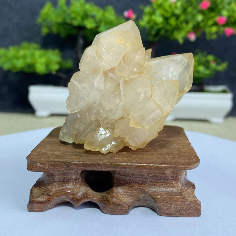 White Quartz Crystal Cluster-ToShay.org