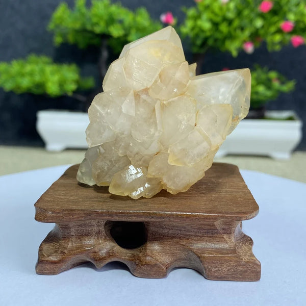 White Quartz Crystal Cluster-ToShay.org