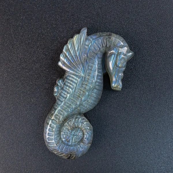 Blue Labradorite Seahorse-ToShay.org