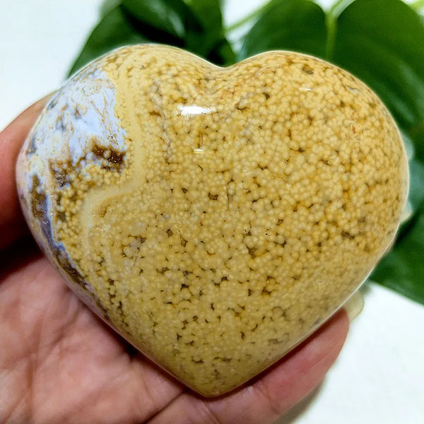 Ocean Jasper Heart-ToShay.org