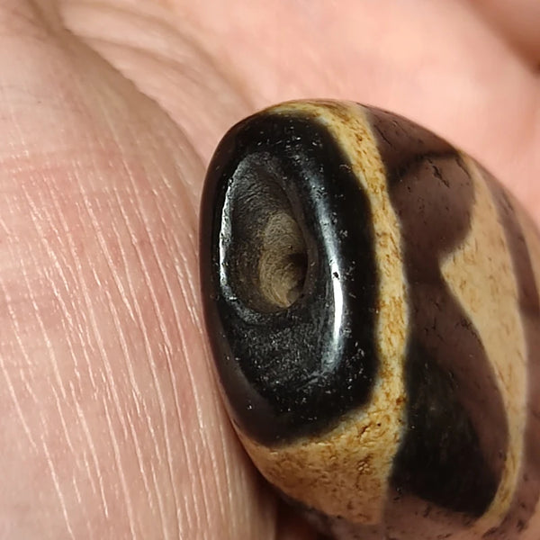 Tibetan Agate Dzi Beads-ToShay.org