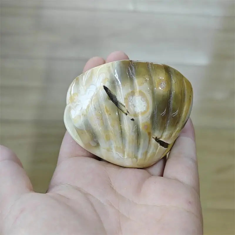Natural Carnelian Shell Pearl Carving Cute Animal Craft Home Office Decoration Ornament Holiday Gift 1pcs-ToShay.org