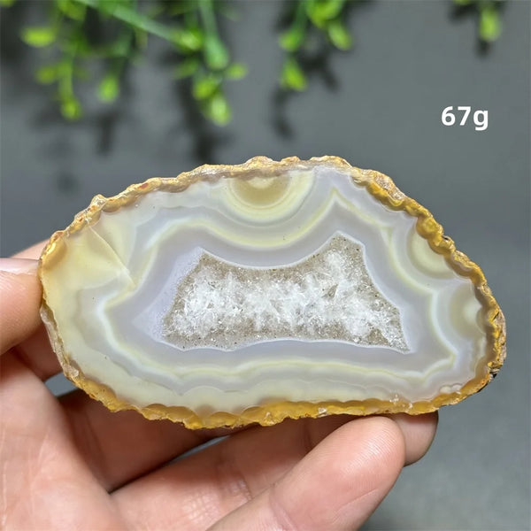 Yellow Agate Slice-ToShay.org