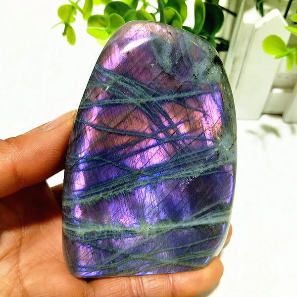Violet Labradorite Crystal-ToShay.org
