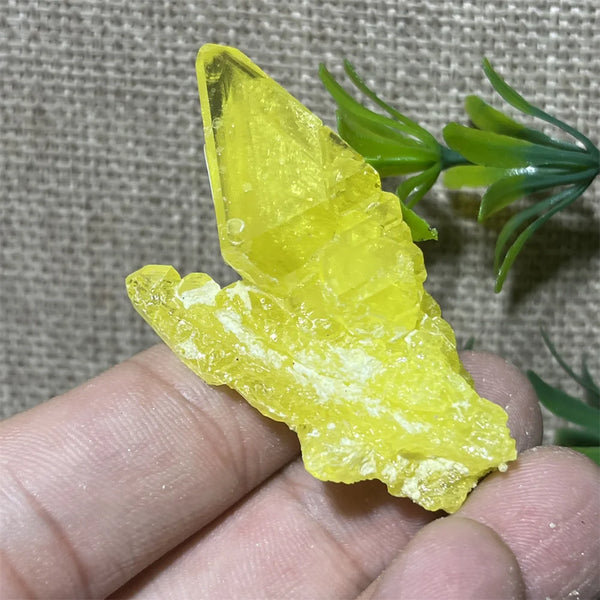 Yellow Sulphur Quartz-ToShay.org