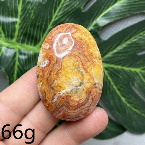 Yellow Crazy Agate Palm Stone-ToShay.org
