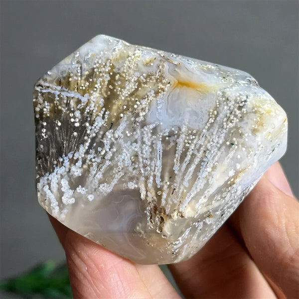 Black Rutilated Hair Raw Quartz-ToShay.org