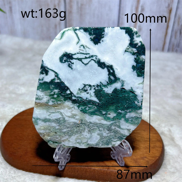 Green Moss Agate Slice-ToShay.org