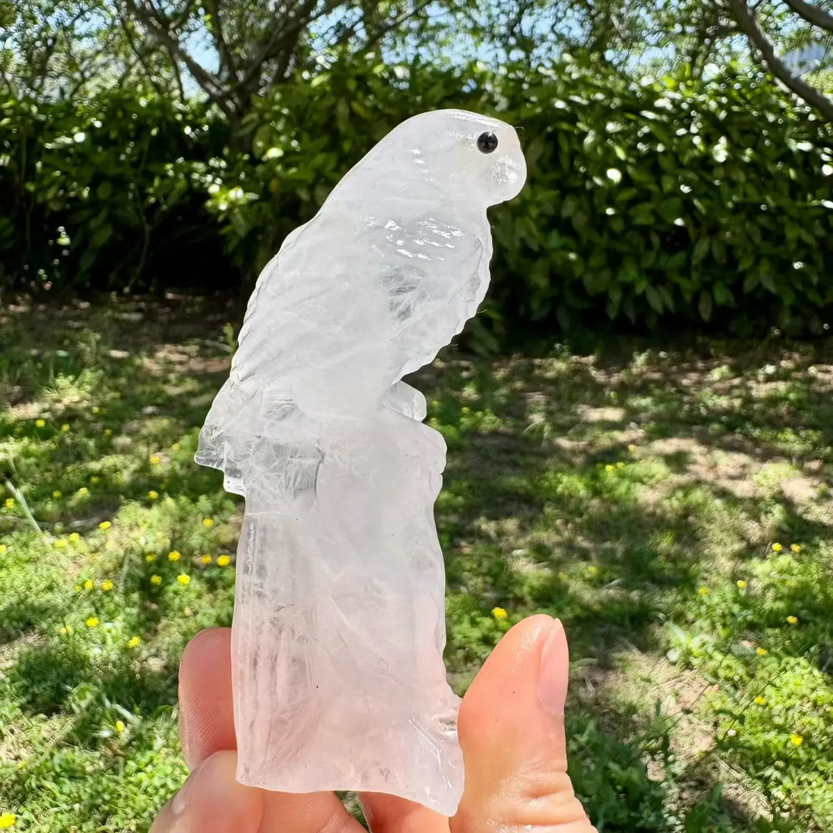 Mixed Quartz Parrots-ToShay.org