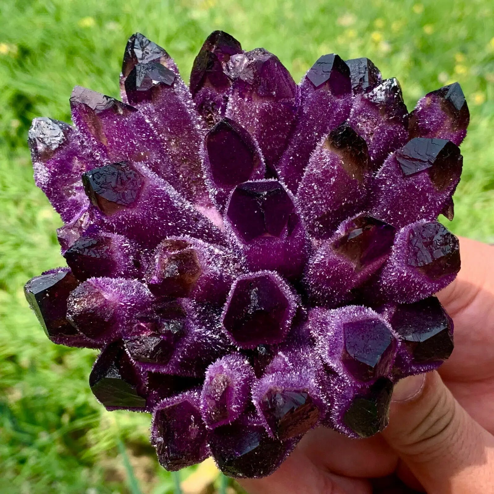 Violet Ghost Phantom Quartz Cluster-ToShay.org
