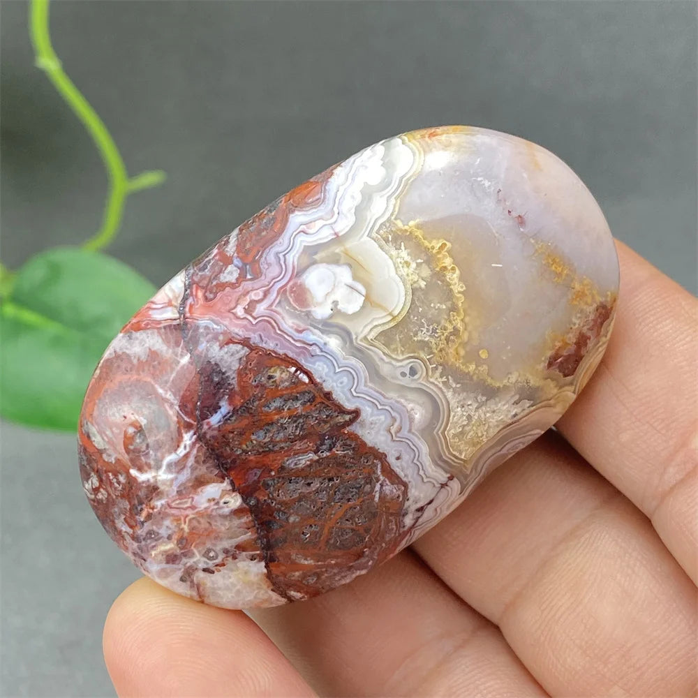 Red Lace Crazy Agate-ToShay.org