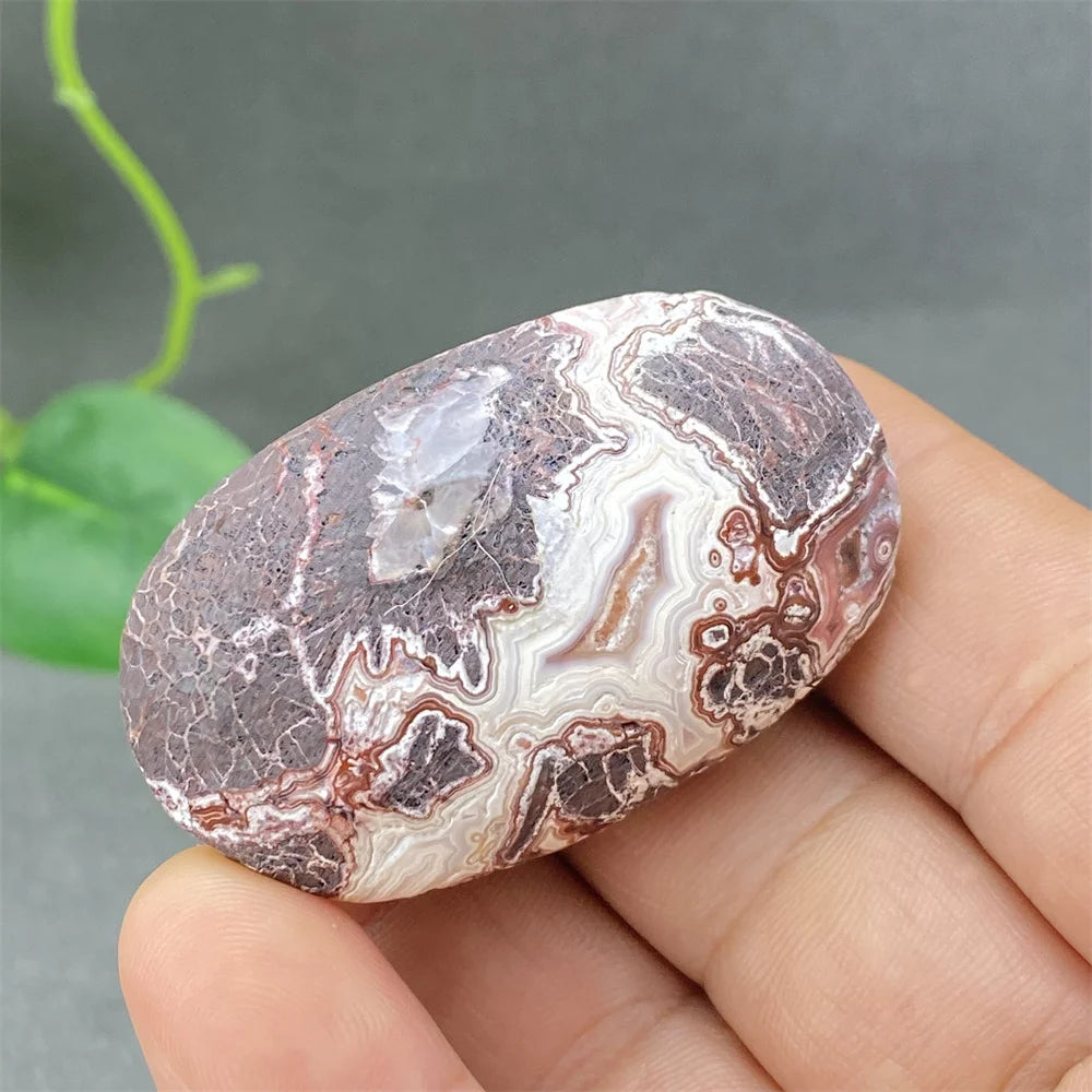 Red Lace Crazy Agate-ToShay.org