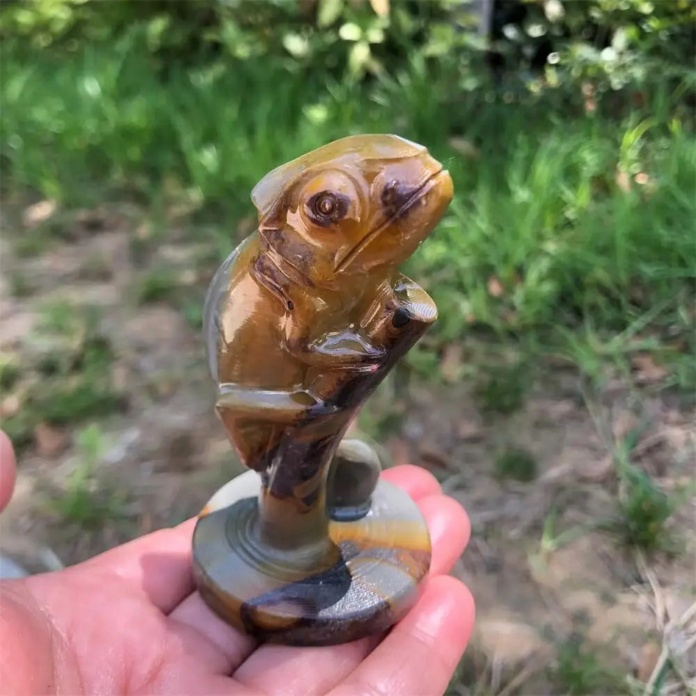 Mixed Jasper Lizard-ToShay.org