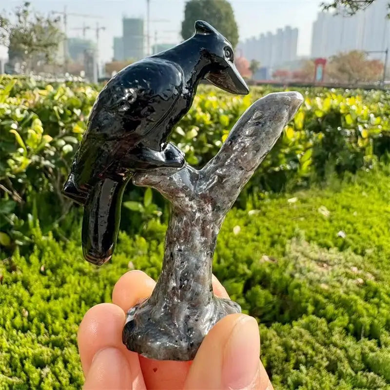 Black Obsidian Woodpecker-ToShay.org