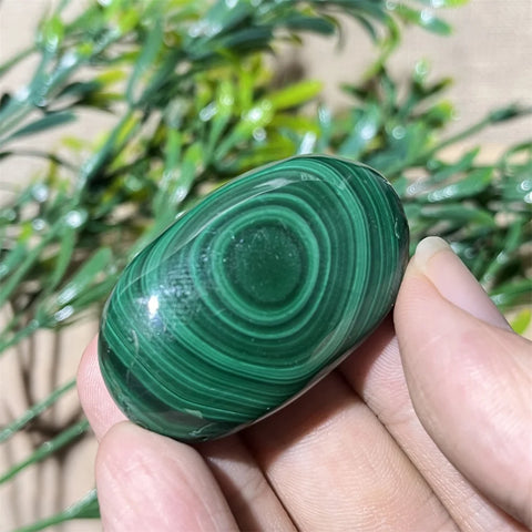 Green Malachite Palm Stone-ToShay.org