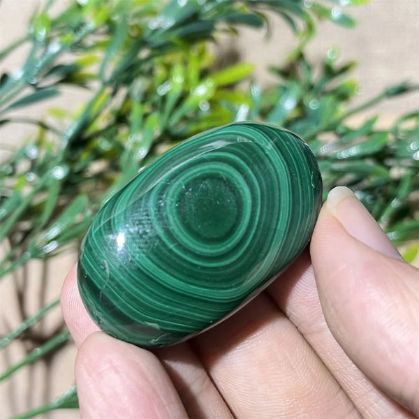 Green Malachite Palm Stone-ToShay.org