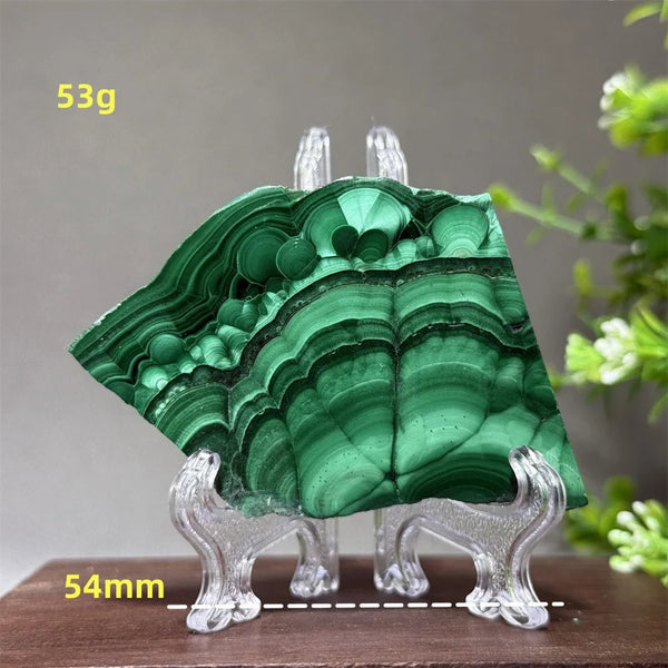 Green Malachite Slice-ToShay.org