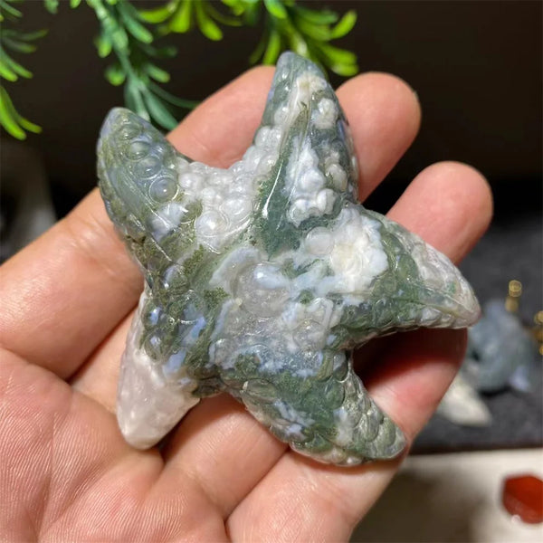 Green Moss Agate Starfish-ToShay.org