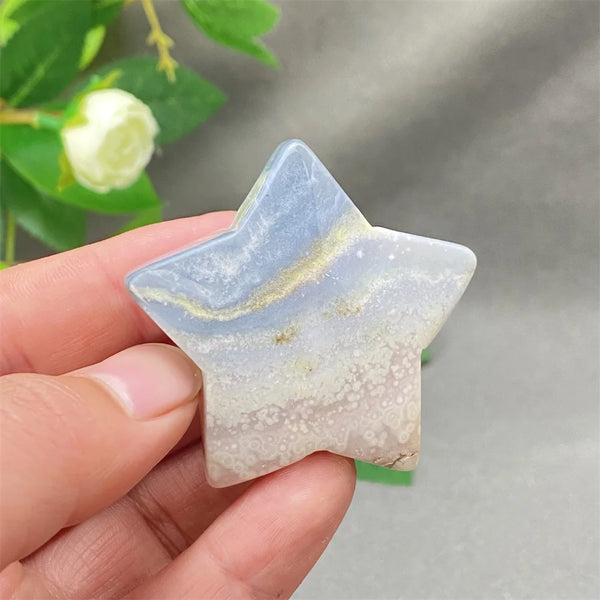 Black Cherry Blossom Agate-ToShay.org