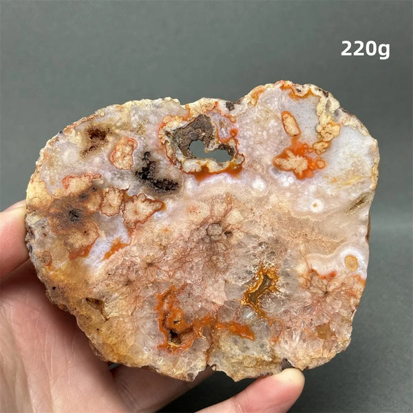 Red Cherry Blossom Agate-ToShay.org