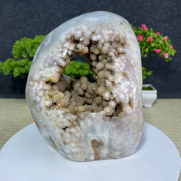 Pink Amethyst Agate Geode-ToShay.org