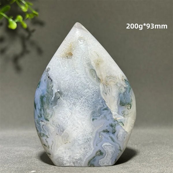 Green Aquatic Plant Agate-ToShay.org